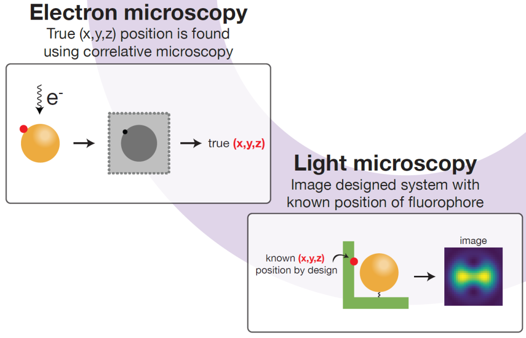 Schematic view of the concept of correlative microscopy