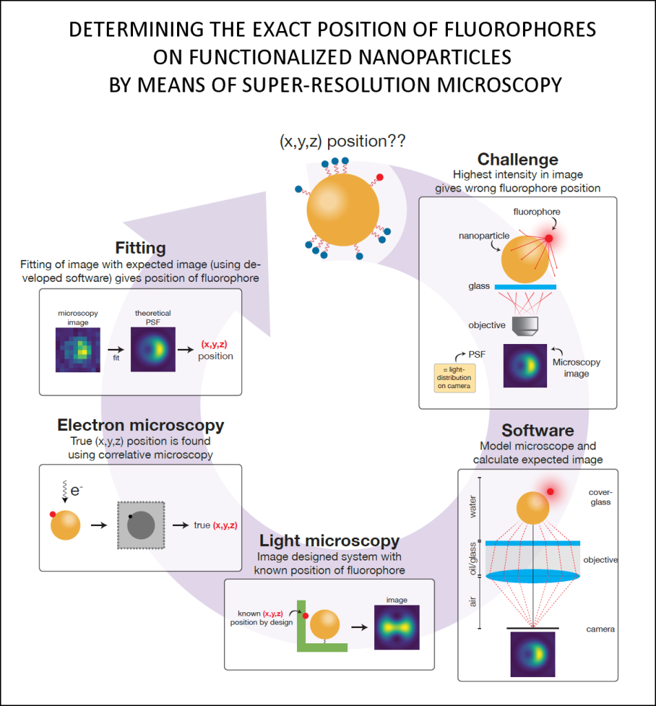 Full infographic of the research in work package 1