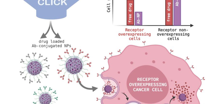 Paper: Method For Antibody Conjugation To Nanoparticles