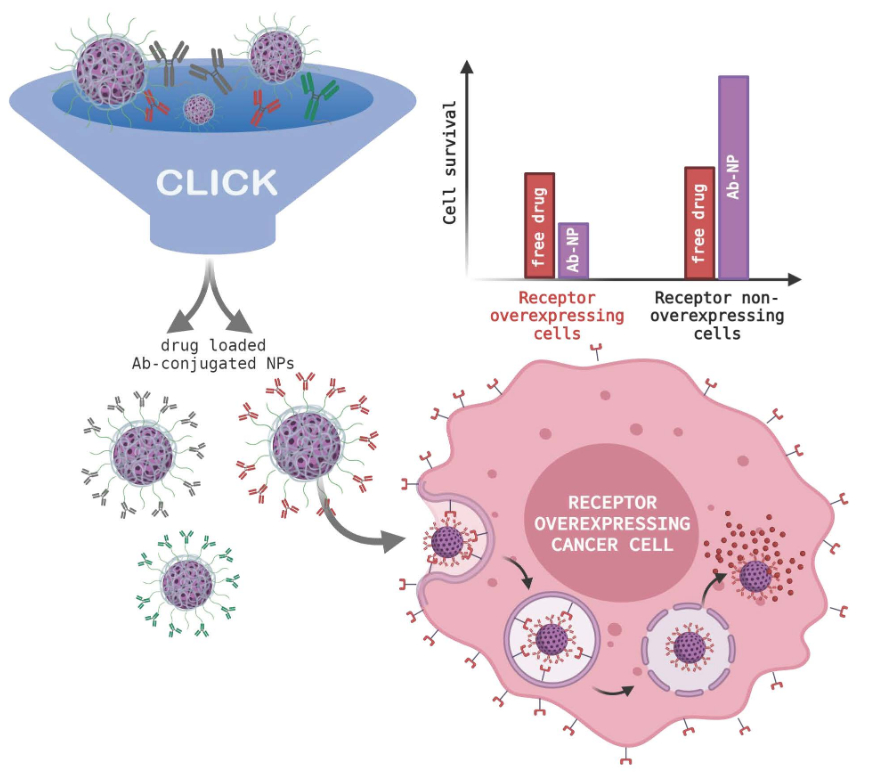 Paper graphical abstract