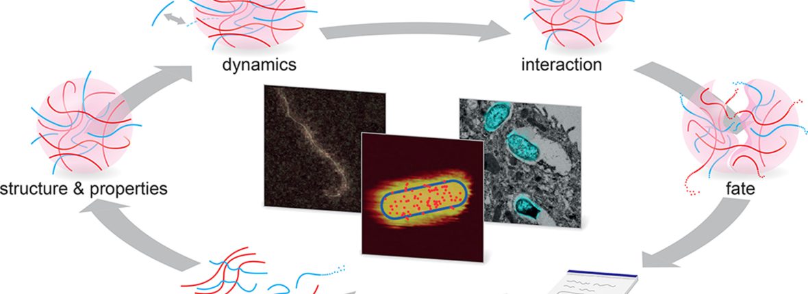 Paper: Correlative Imaging For Polymer Science