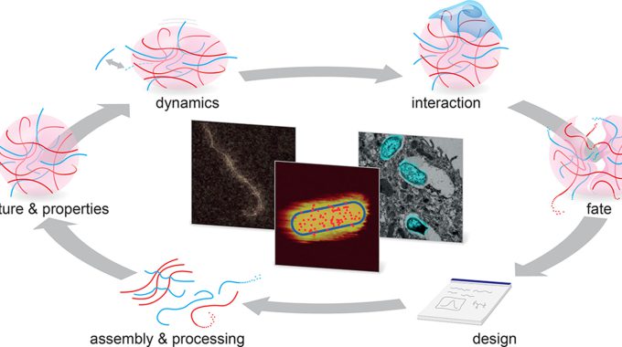 Steps In The Life Cycle Of Polymeric Materials That Correlative Microscopy Can Contribute To Study And Understand