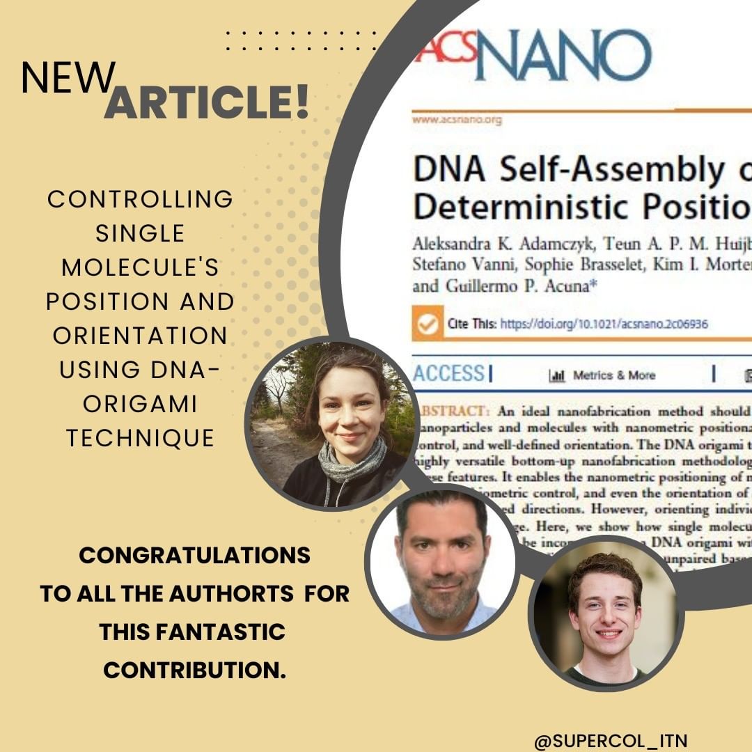 Paper DNA Self Assembly of Single Molecules with Deterministic