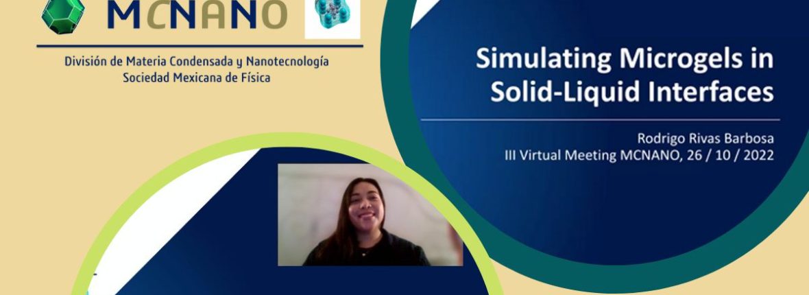 Dissemination: Maria And Rodrigo Present Their Work At A Virtual Conference